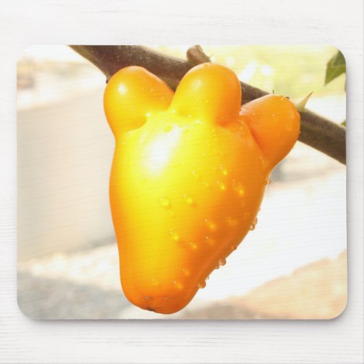 Fox Face Fruit Mousepad (Vorne)