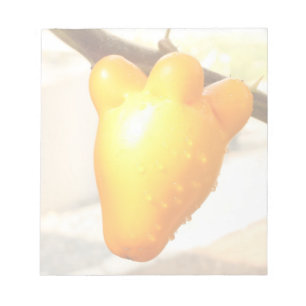 Fox Face Fruit Notizblock