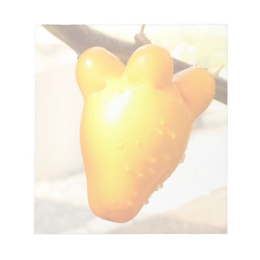 Fox Face Fruit Notizblock (Vorderseite)