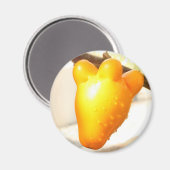 Fox Face Fruit (Solanum mammosum) Magnet (Vorderseite/Rückseite)