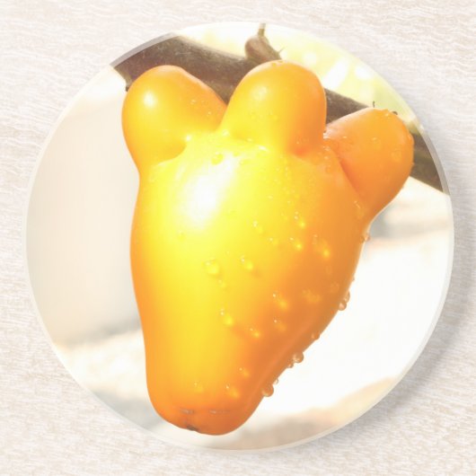 Fox Face Fruit Untersetzer (Vorne)