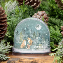 Fox Familie in Forest Full Moon Snowfall Wasserfar