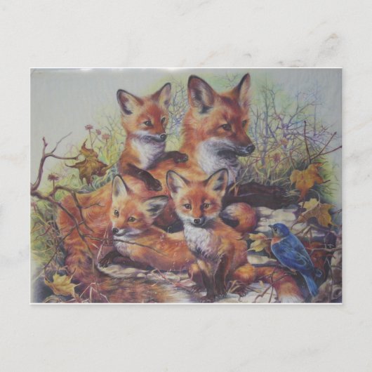 Fox-Familie Postkarte (Vorderseite)