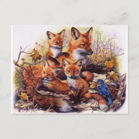 Fox-Familien-Porträt Postkarte (Vorderseite)