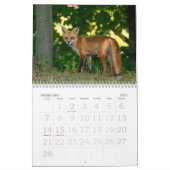Fox-Familienkalender Kalender (Feb 2027)