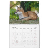 Fox-Familienkalender Kalender (Jan 2027)