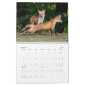 Fox-Familienkalender Kalender (Mär 2027)