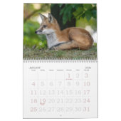 Fox-Familienkalender Kalender (Jan 2026)