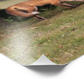 Fox Family Outing Fotodruck (Ecke)