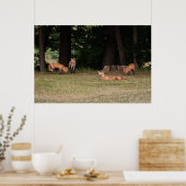 Fox Family Outing Poster (Küche)
