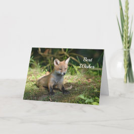 Fox Foto Glückwunsch Hochzeitskarte Karte