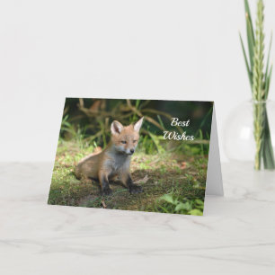 Fox Foto Glückwunsch Hochzeitskarte Karte