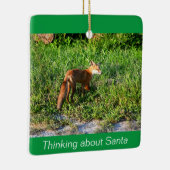 Fox Foto Ornament (Rechts)