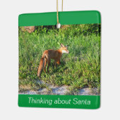 Fox Foto Ornament (Links)