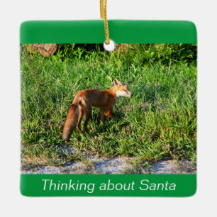 Fox Foto Ornament