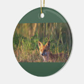 Fox Foto Ornament (Links)