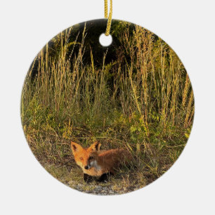 Fox Foto Ornament
