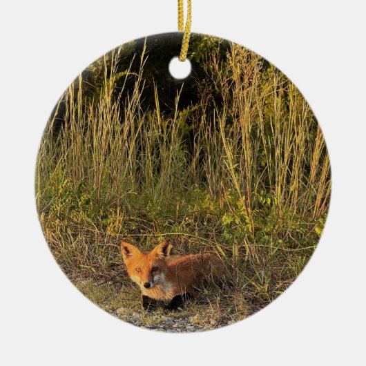 Fox Foto Ornament (Vorne)