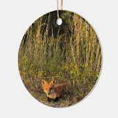 Fox Foto Ornament (Links)
