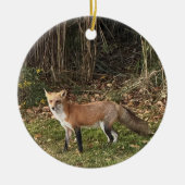 Fox Foto Ornament (Vorne)