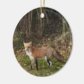 Fox Foto Ornament (Links)