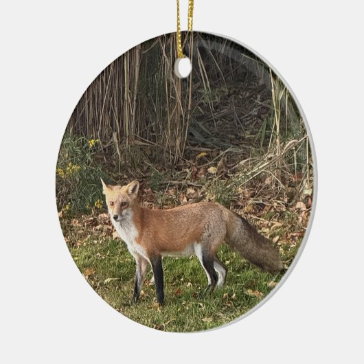 Fox Foto Ornament (Links)