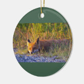 Fox Foto Ornament (Links)