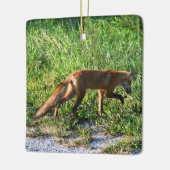 Fox Foto Ornament (Links)
