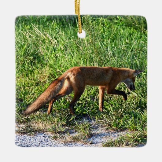 Fox Foto Ornament (Vorderseite)