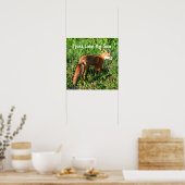 Fox Foto Poster (Küche)