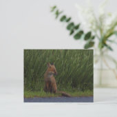 Fox Foto Postkarte (Stehend Vorderseite)
