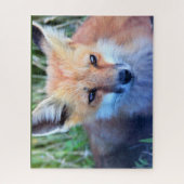 Fox Foto Puzzle (Vertikal)