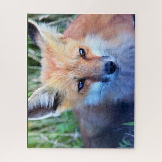 Fox Foto Puzzle (Vertikal)