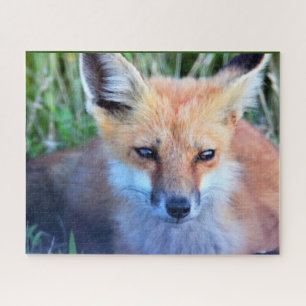 Fox Foto Puzzle