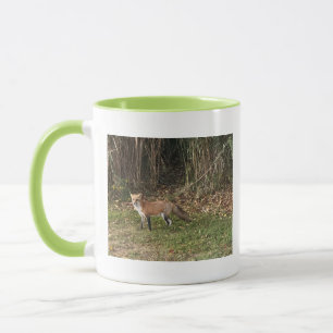 Fox-Foto-Tasse Tasse