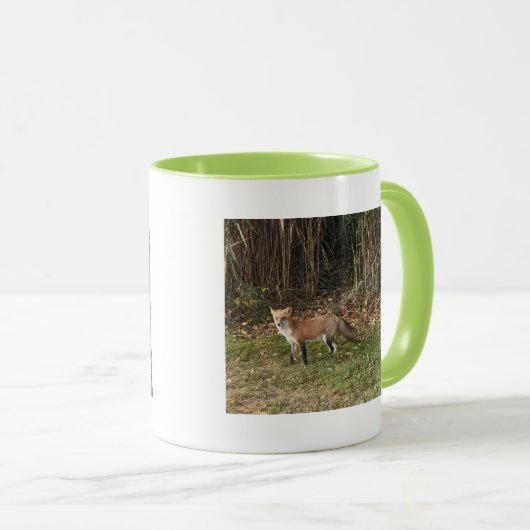 Fox-Foto-Tasse Tasse (VorderseiteRechts)