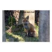 Fox Fotodruck (Vorne)