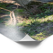 Fox Fotodruck (Ecke)