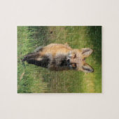 Fox Friend Puzzle (Horizontal)
