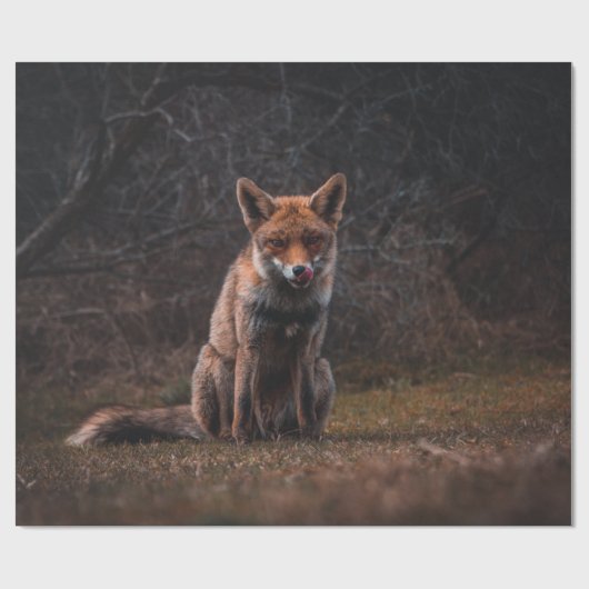 FOX GESCHENKPAPIER (Flach)