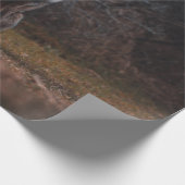 FOX GESCHENKPAPIER (Ecke)