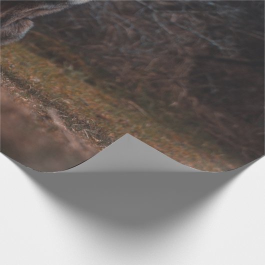 FOX GESCHENKPAPIER (Ecke)