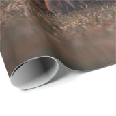 FOX GESCHENKPAPIER (Rolleneckpunkt)