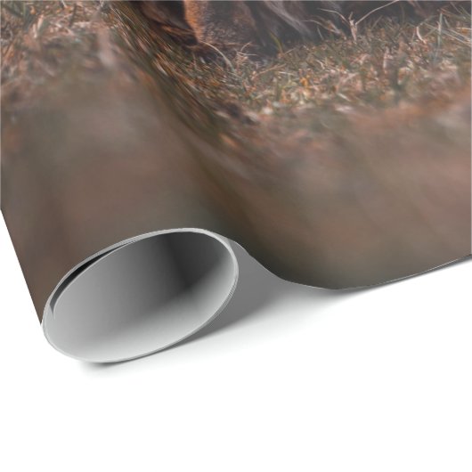 FOX GESCHENKPAPIER (Rolleneckpunkt)