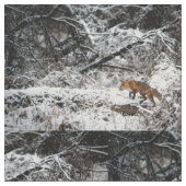 fox Gewebe, das Waldgewebe und steppen Platten Stoff (Nahaufnahme)
