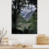Fox Glacier Poster (Küche)