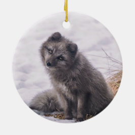 Fox Gray Snow Foto Keramik Ornament