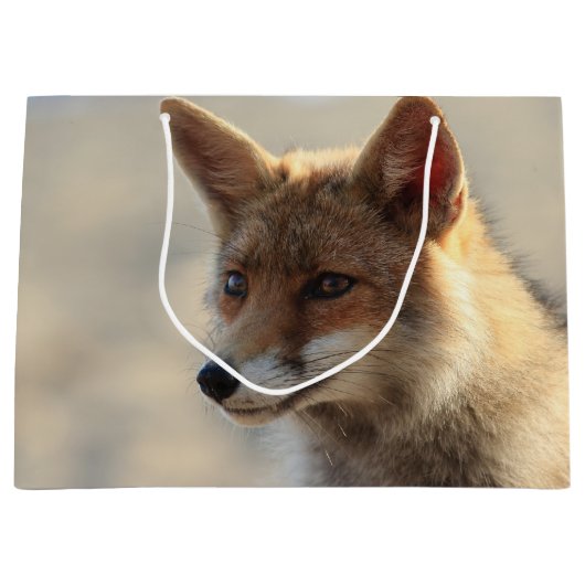 Fox Große Geschenktüte (Vorderseite)
