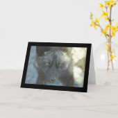 Fox-Gruß-Karte Karte (Gelbe Blume)