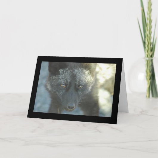 Fox-Gruß-Karte Karte (Vorderseite)